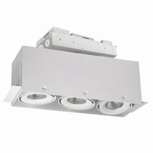 Mls Trimless LED Trimless 3-Head Housing in White (167|NMRTLG13D6L1940W)