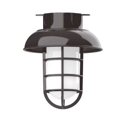 Vaportite One Light Flush Mount in Architectural Bronze (518|FMC06051G07)