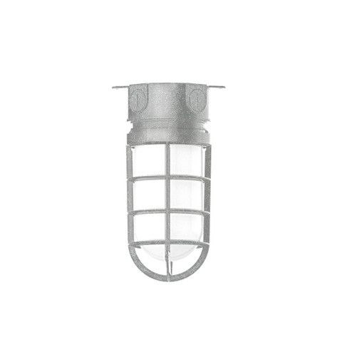 Vaportite One Light Flush Mount in Painted Galvanized (518|FMC05049G07)