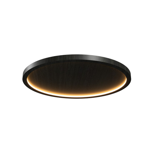 Naia LED Ceiling Mount in Charcoal (486|5095LED44)