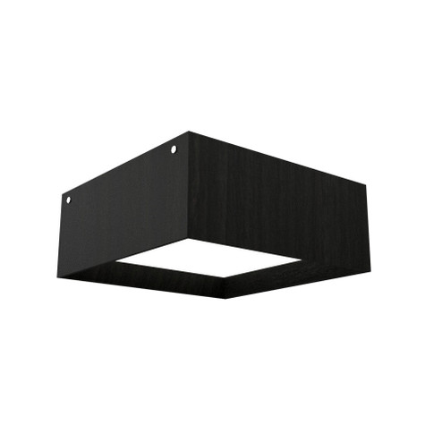 Squares LED Ceiling Mount in Charcoal (486|493LED44)