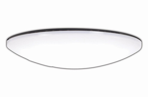 Bowie LED Light Kit in White (15|K9933L)