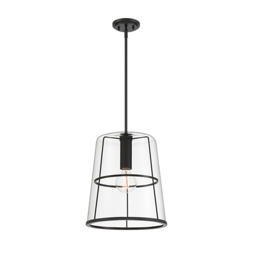 Alonzo One Light Pendant in Matte Black (43|D299M14PMB)