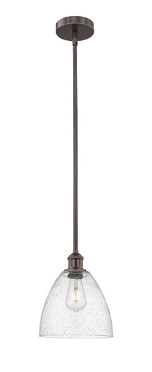 Edison One Light Mini Pendant in Oil Rubbed Bronze (405|6161SOBGBD94)
