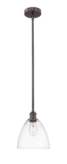 Edison One Light Mini Pendant in Oil Rubbed Bronze (405|6161SOBGBD92)