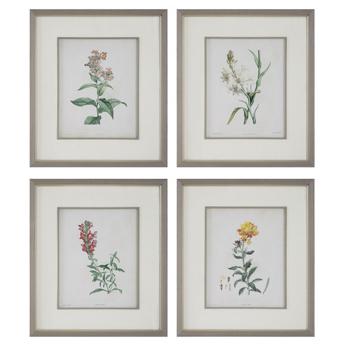 Heirloom Blooms Framed Prints Set/4 in Gray (52|32285)