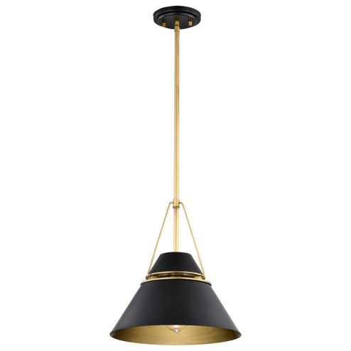 Adina One Light Pendant in Matte Black (72|607766)