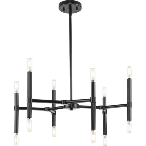 Arya 12 Light Chandelier in Matte Black (54|P40033931M)
