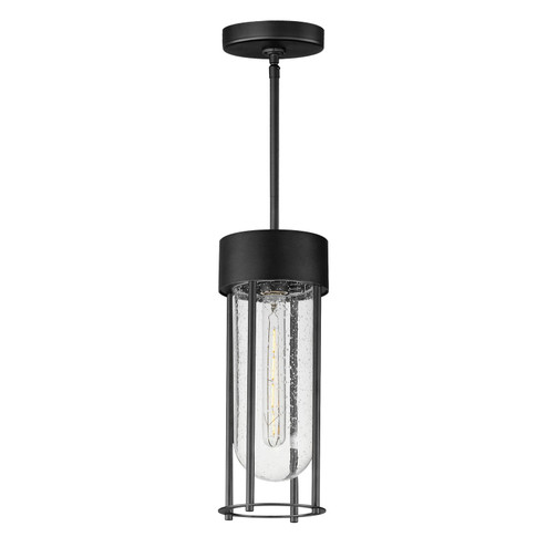 Millennial One Light Outdoor Pendant in Black (16|30587CDBK)