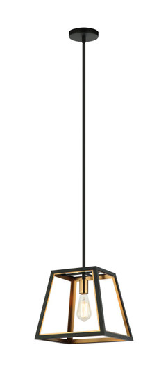 ROSALIE One Light Pendant in Matte Black + Aged Gold Brass (423|C72101MBAG)