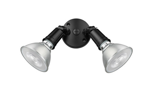 Two Light Security Flood Light in Powder Coated Black (59|16002PBK)