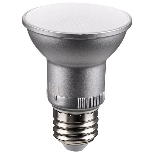 Light Bulb in Silver (230|S11581)