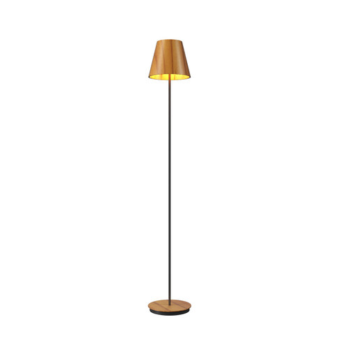 Conical One Light Floor Lamp in Teak (486|305312)