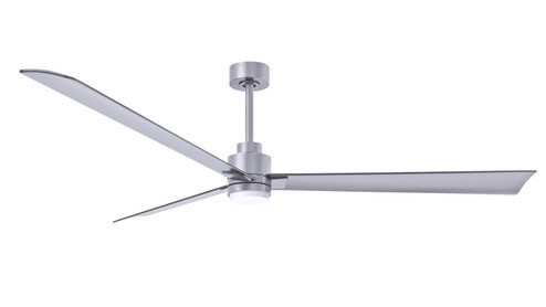 Alessandra 72''Ceiling Fan in Brushed Nickel (101|AKLKBNBN72)