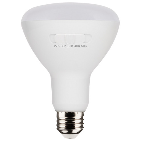 Light Bulb in White (230|S11780)