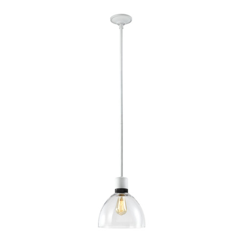 Zigrina One Light Pendant in Matte White (360|P11706E26MWKSBBG12)