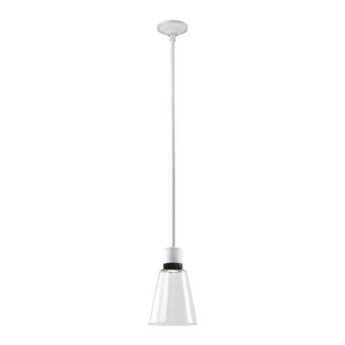 Zigrina LED Pendant in Matte White (360|P11702LEDMWKSBBG16)