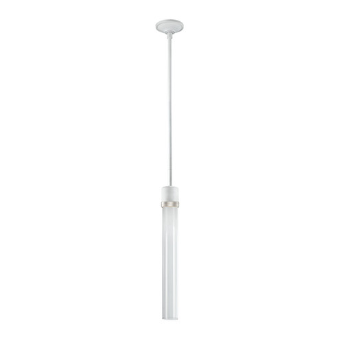 Zigrina LED Pendant in Matte White (360|P11702LEDMWKPNG2)