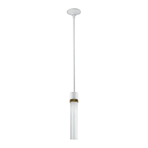 Zigrina LED Pendant in Matte White (360|P11702LEDMWKAGBG1)