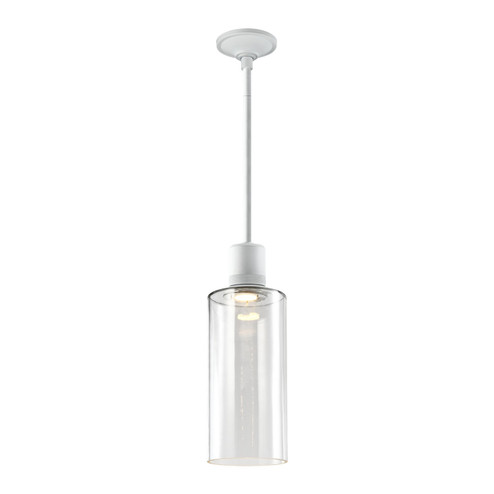 Zigrina LED Pendant in Matte White (360|P11702LEDMWG14)