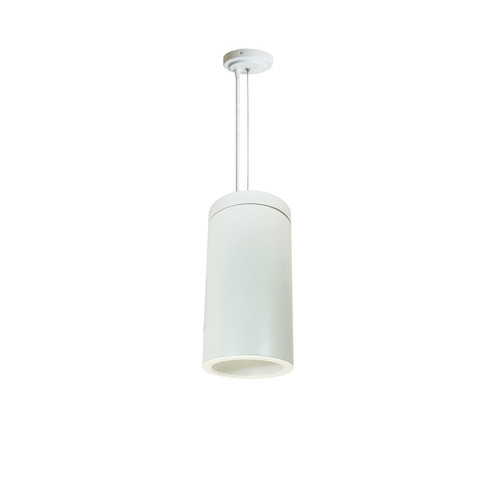 Cylinder Pendant in White (167|NYLS26C25135FWWW3AC)