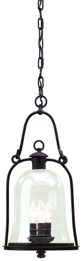 Owings Mill Three Light Hanging Lantern in Textured Black (67|F9467TBK)