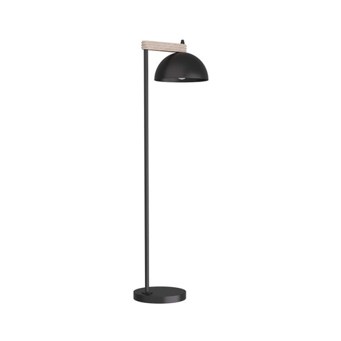 Thea One Light Floor Lamp in Blackened Iron (314|PFI03)