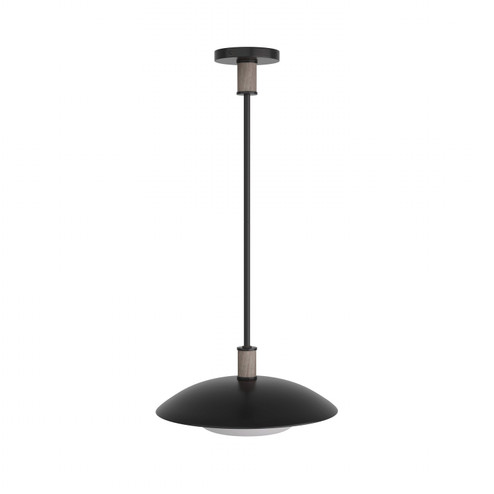 Tobias One Light Pendant in Blackened Iron (314|DSI03)