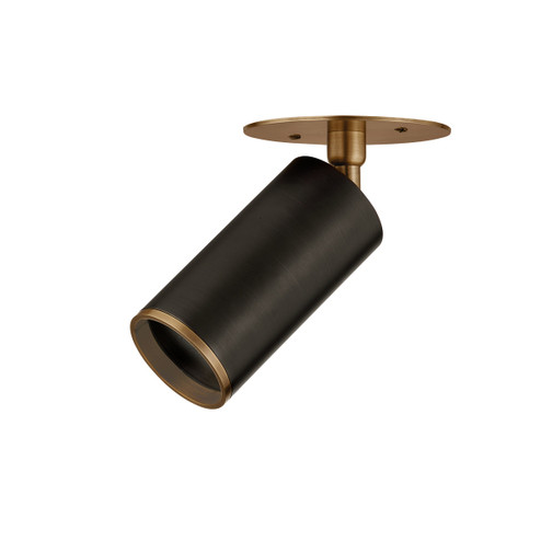 Caleb One Light Flush Mount in Patina Brass/Bronze (67|C1305PBRBRZ)