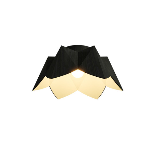 Physalis One Light Ceiling Mount in Organic Black (486|509246)