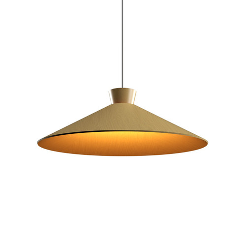 Conical One Light Pendant in Organic Gold (486|147549)