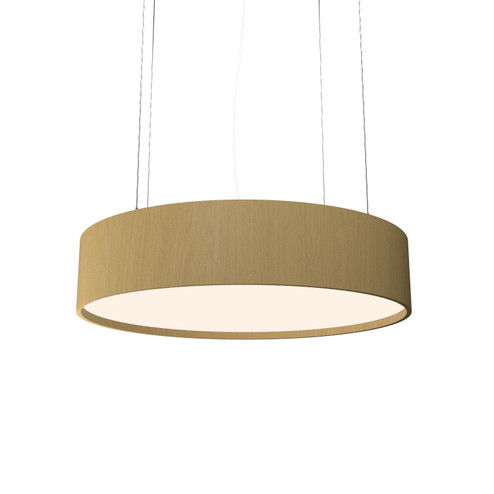 Cylindrical LED Pendant in Organic Gold (486|1038LED49)