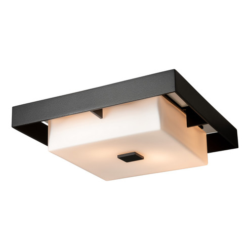 Shadow Box Two Light Outdoor Flush Mount in Natural Iron (39|363100SKT2077GG0784)