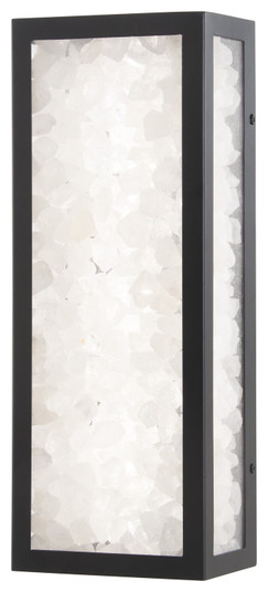 Salt Creek LED Outdoor Wall Sconce in Coal (7|817166AL)