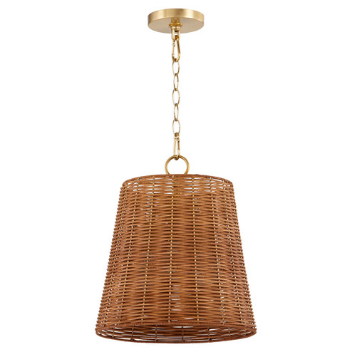 Robinson Three Light Pendant in Aged Brass (19|88931380)