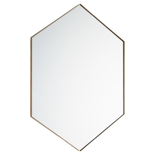 Hexagon Mirrors Mirror in Gold Finished (19|13243421)