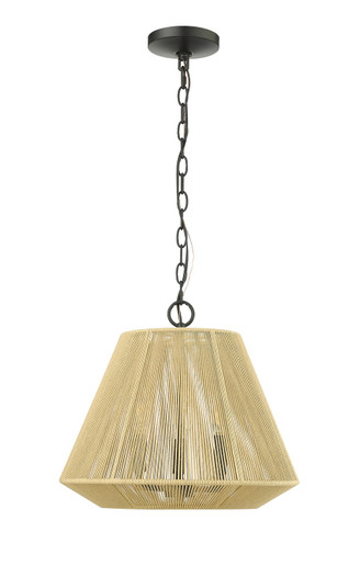 Sterling Three Light Pendant in Matte Black (59|20603MB)
