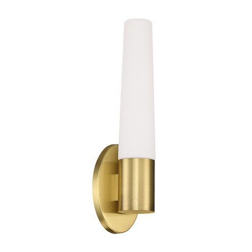 Tusk LED Wall Sconce in Brushed Brass (281|WS38817BR)