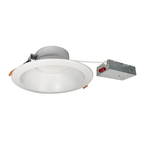 LED Theia LED Downlight in Haze / Matte Powder White (167|NLTH81TWHZMPW)