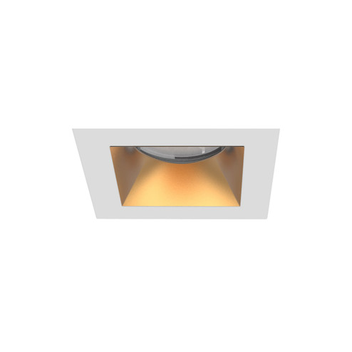 Aether Atomic LED Trim in Gold/White (34|R1ASDTGLWT)