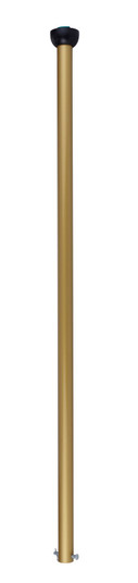 Fanaway Downrod in Satin Brass (457|51292424)