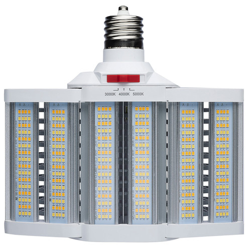 LED Shoe Box Lamp in White (230|S28932R1)