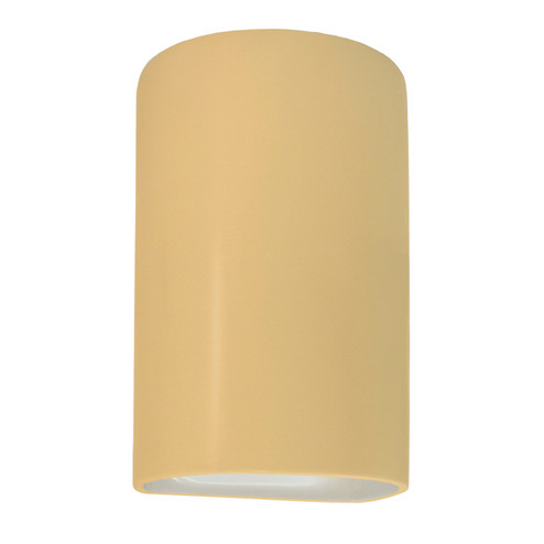 Ambiance One Light Outdoor Wall Sconce in Muted Yellow (102|CER1265WMYLW)