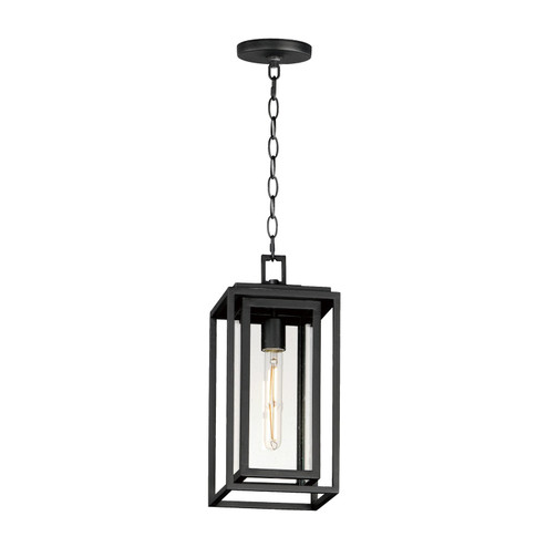 Cabana VX One Light Outdoor Pendant in Black (16|40669CDBK)