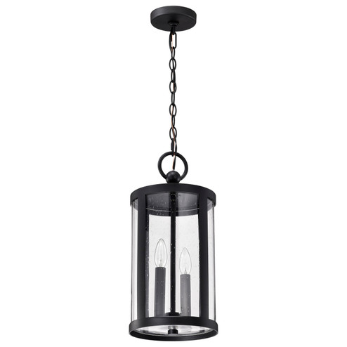 Broadstone Two Light Hanging Lantern in Matte Black (72|608115)