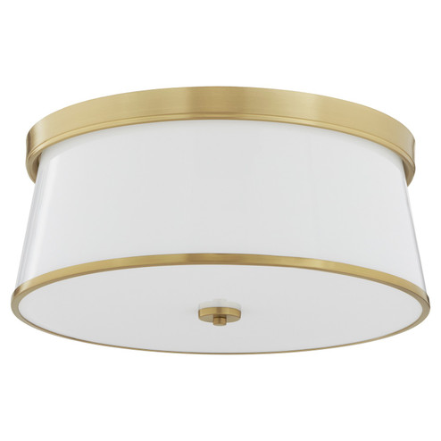 Weir Four Light Ceiling Mount in Aged Brass (19|32032080)