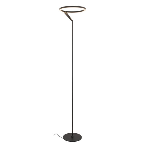 Roda LED Floor Lamp in Black (347|FL27766BK)