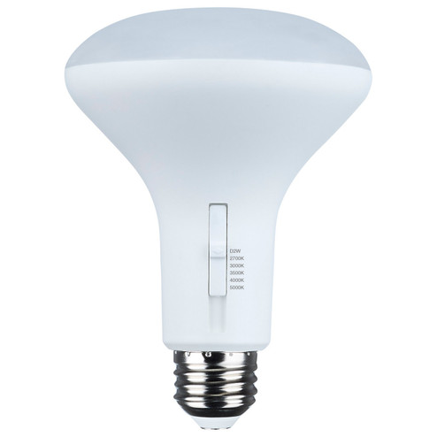 Light Bulb in White (230|S11784)