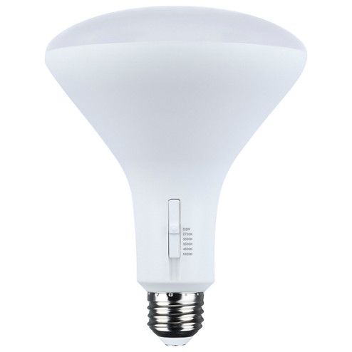 Light Bulb in White (230|S11785)