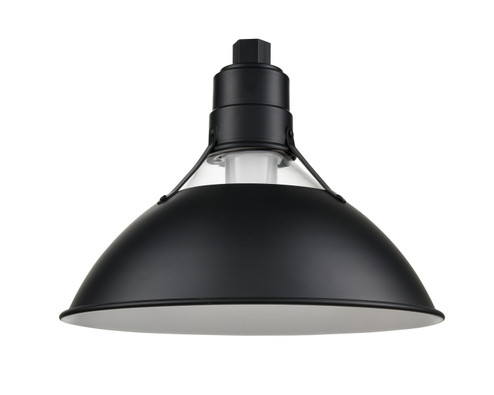 R Series One Light Shade in Satin Black (59|RGCS13SB)